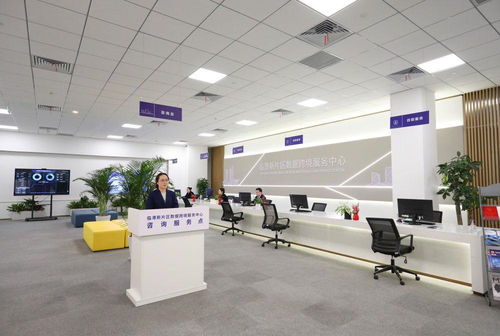 鏡觀回響 從一個(gè)區(qū)，看長三角更高水平開放下的貿(mào)易咨詢服務(wù)