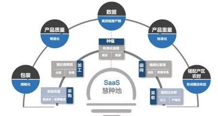 36氪首發 | 中農普惠獲4000萬元Pre-A輪融資，以種植SaaS為基石，深耕果蔬供應鏈服務